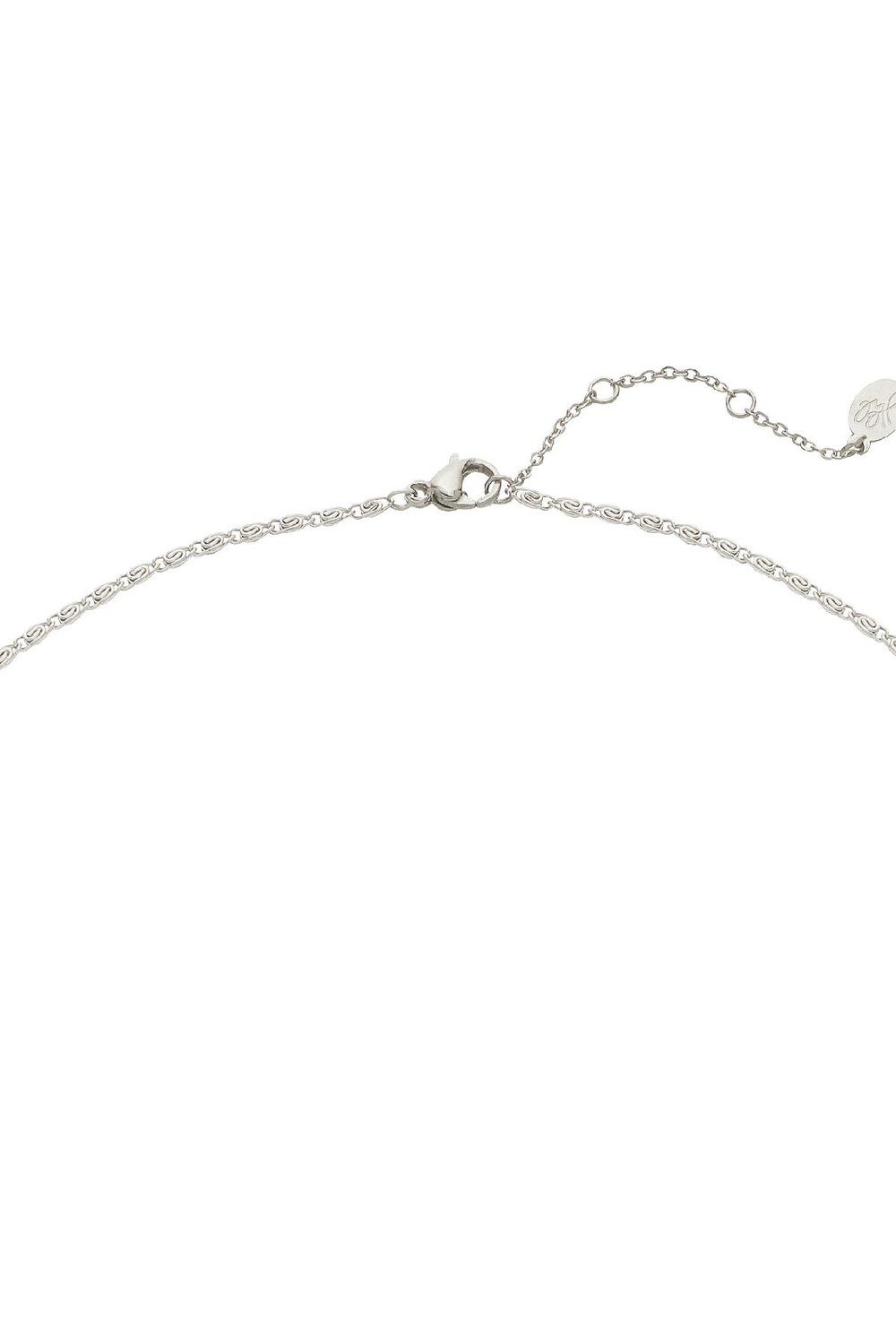 Ketting Head Up Zilver Stainless Steel h5Afbeelding3